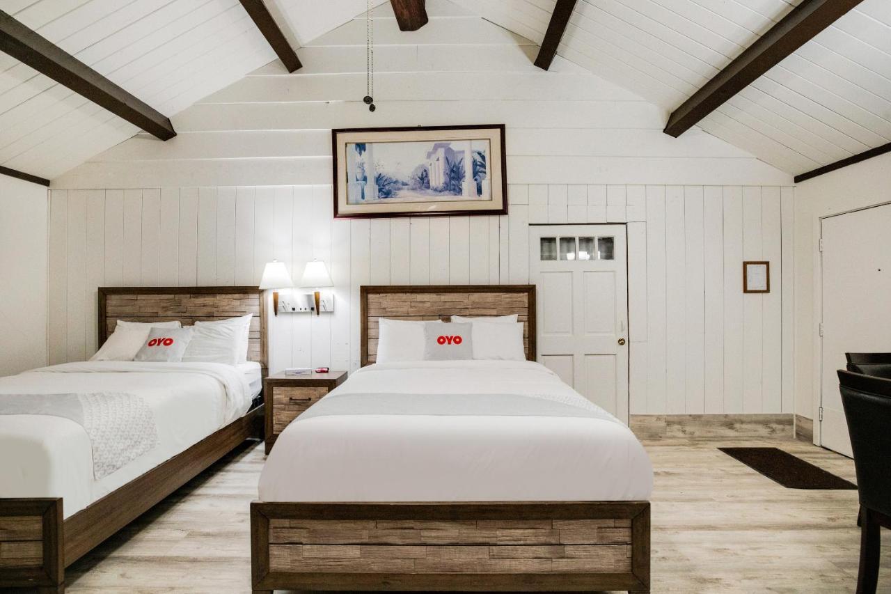 Arrowhead Tree Top Lodge 箭头湖 外观 照片